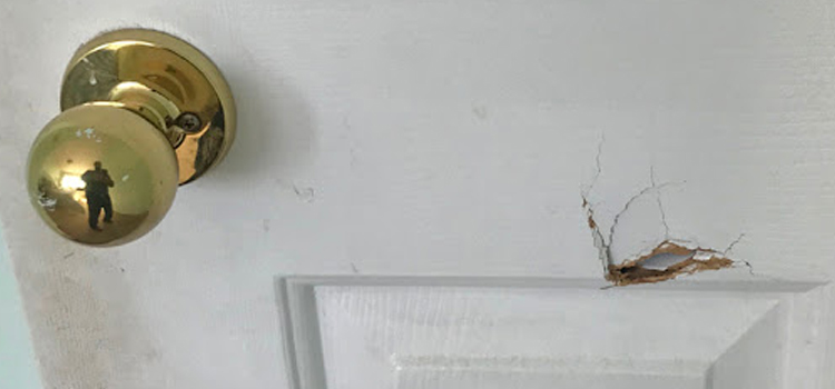 interior door hole repair San Lorenzo