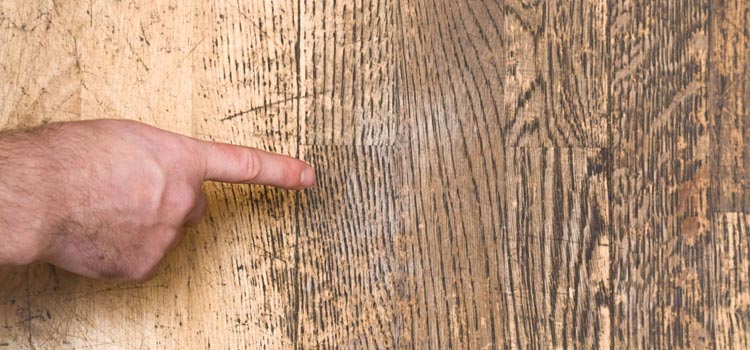 Wood Door Scratch Repair in San Lorenzo